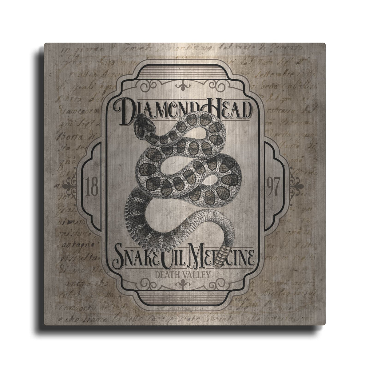 'Diamond Head Snake Oil Medicine' by Lauren Rader – Metal Wall Art