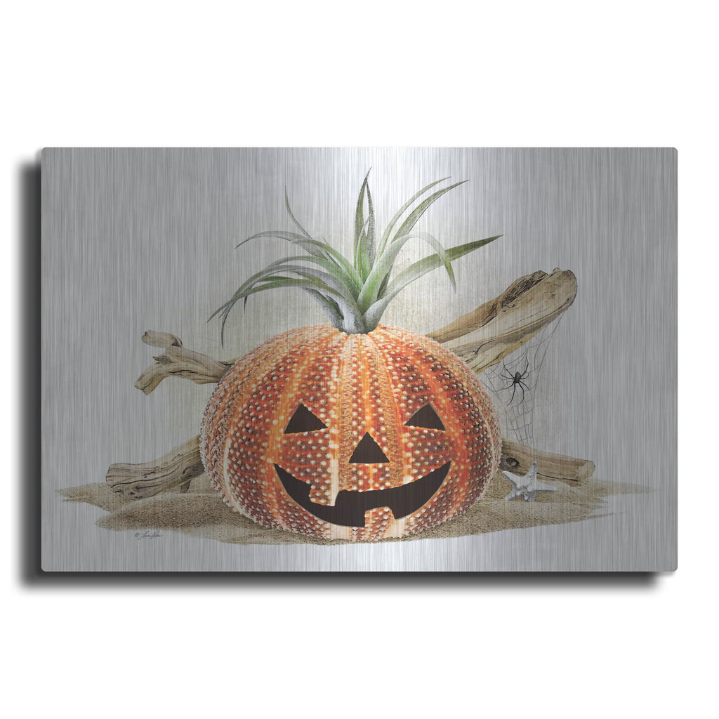 'Coastal Pumpkin Still Life' by Lauren Rader – Metal Wall Art