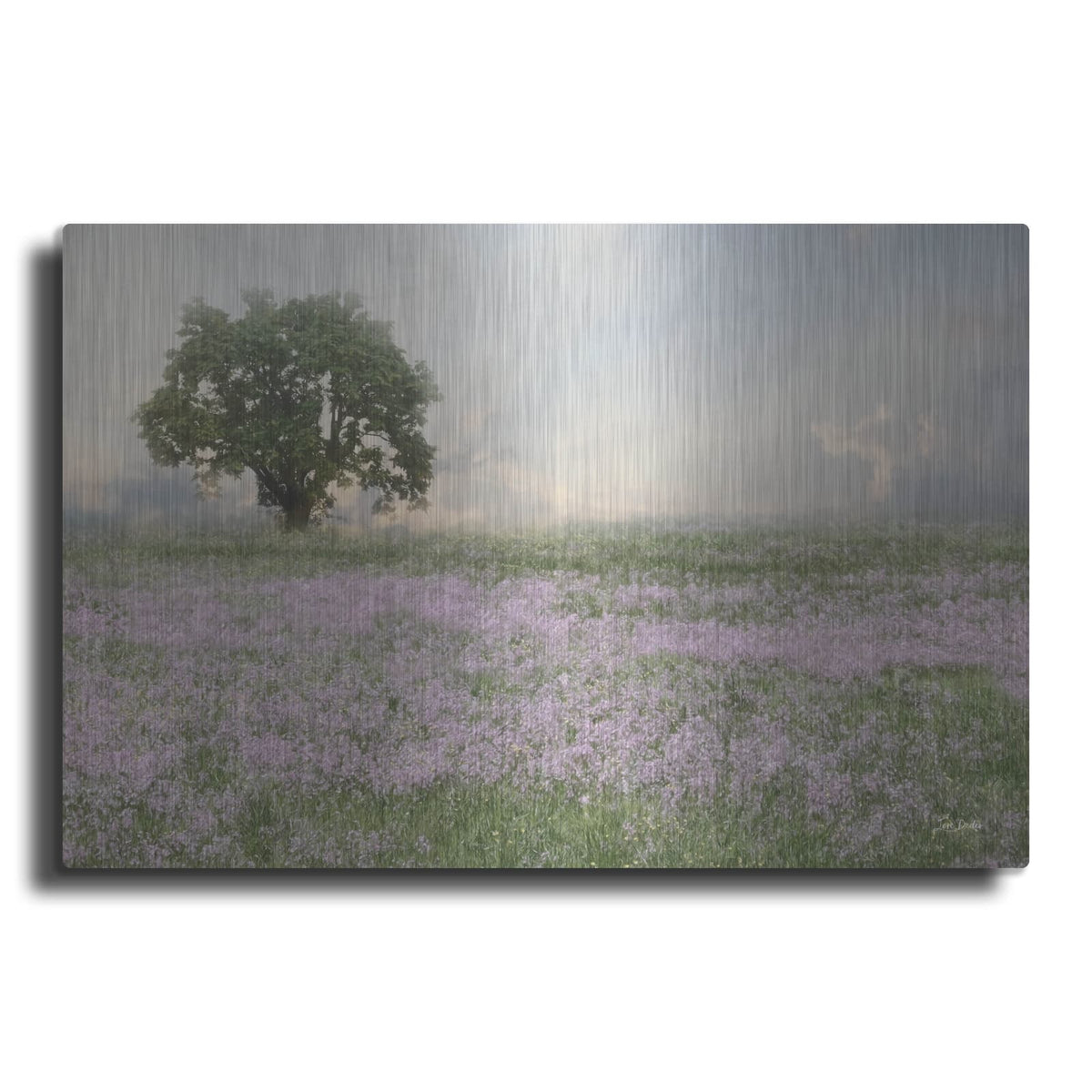 'Wildflower Field' by Lori Deiter – Metal Wall Art