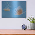 'Jellyfish Dance 2' by Lori Deiter – Metal Wall Art, 16x12 room view