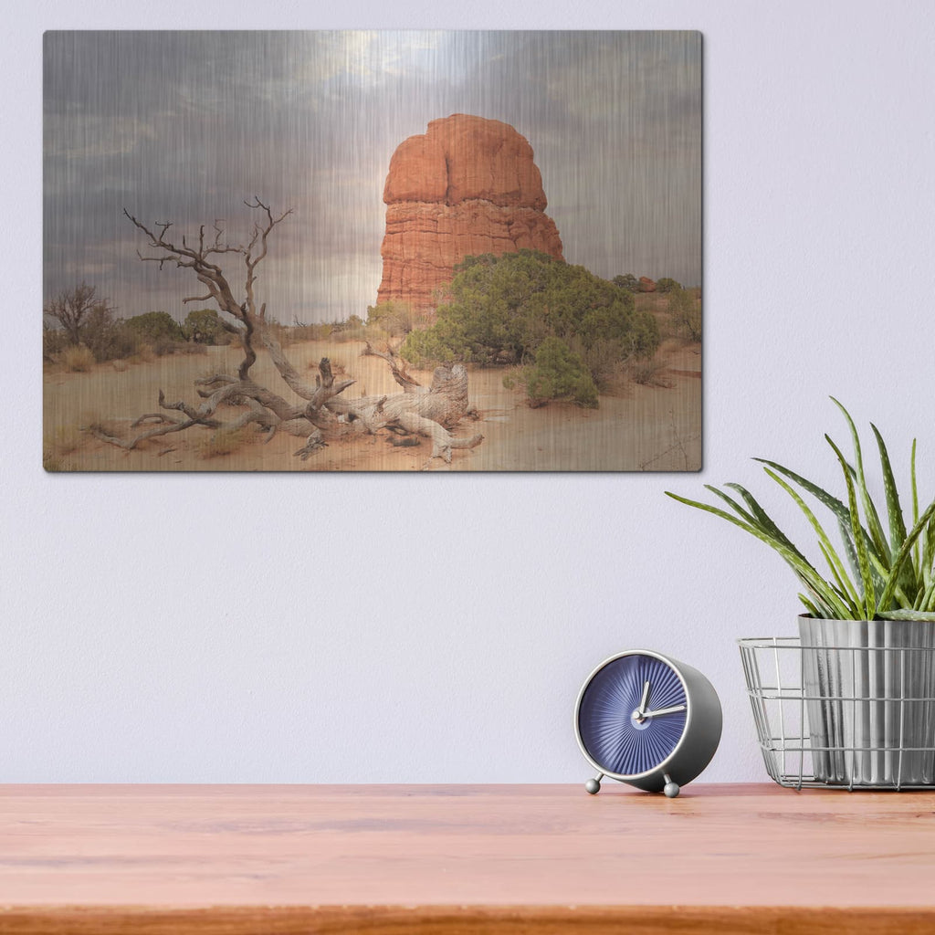 'Dusty Desert 1' by Lori Deiter – Metal Wall Art, 16x12 room view