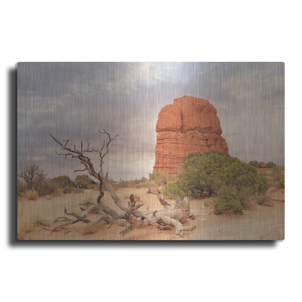 'Dusty Desert 1' by Lori Deiter – Metal Wall Art