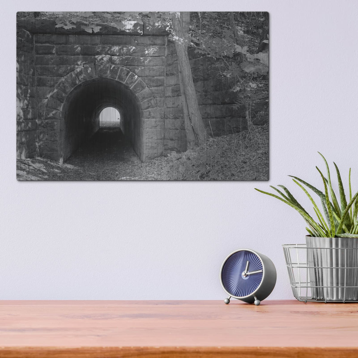 'Juniata Tunnel' by Lori Deiter – Metal Wall Art, 16x12 room view