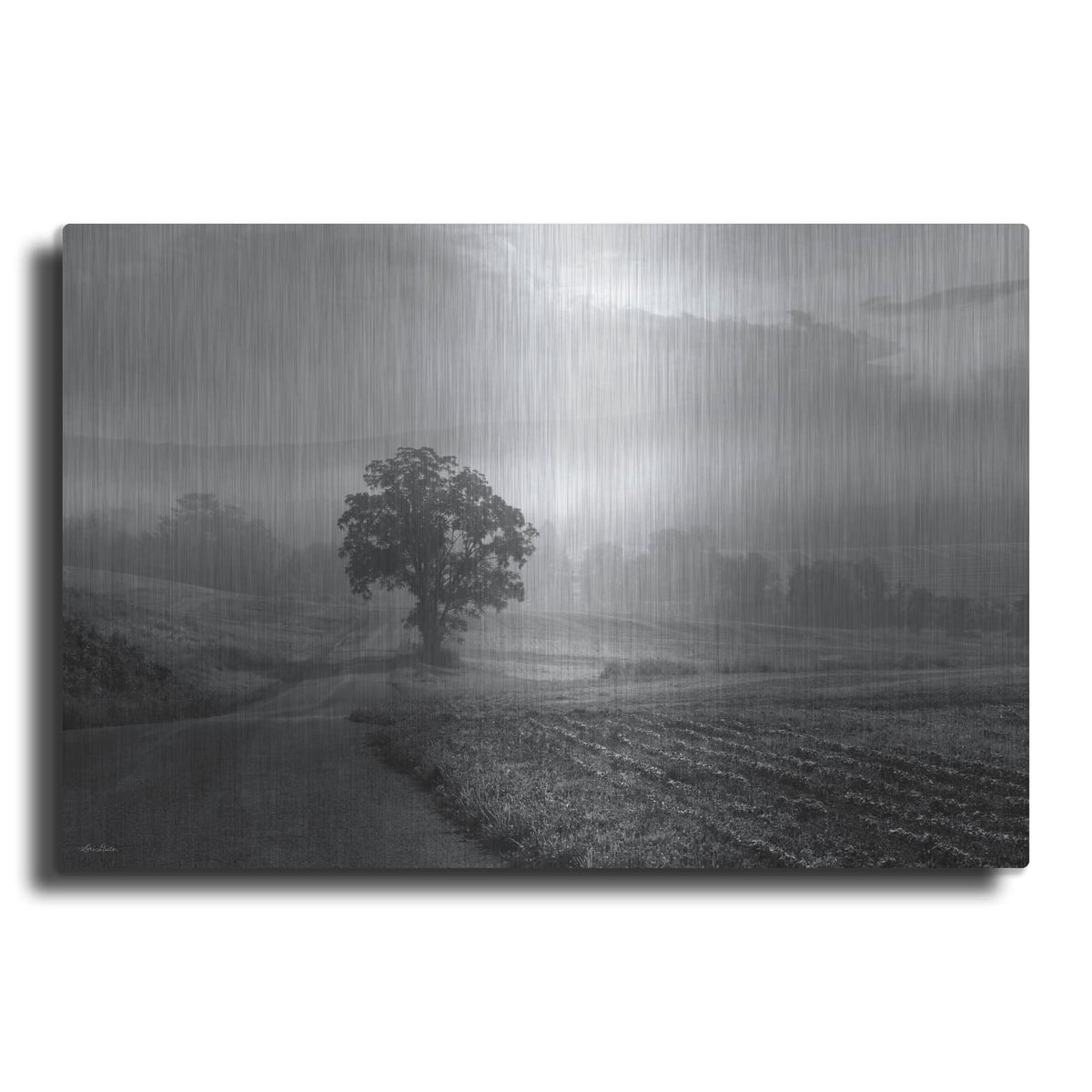 'Morning Haze 2' by Lori Deiter – Metal Wall Art