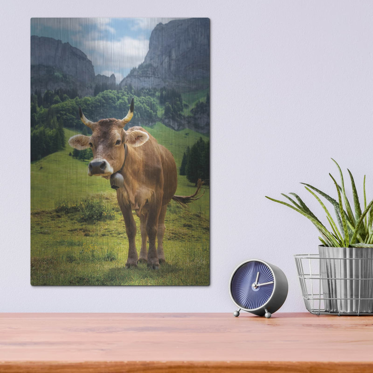 'Swiss Cow' by Martin Podt – Metal Wall Art, 12x16 room view