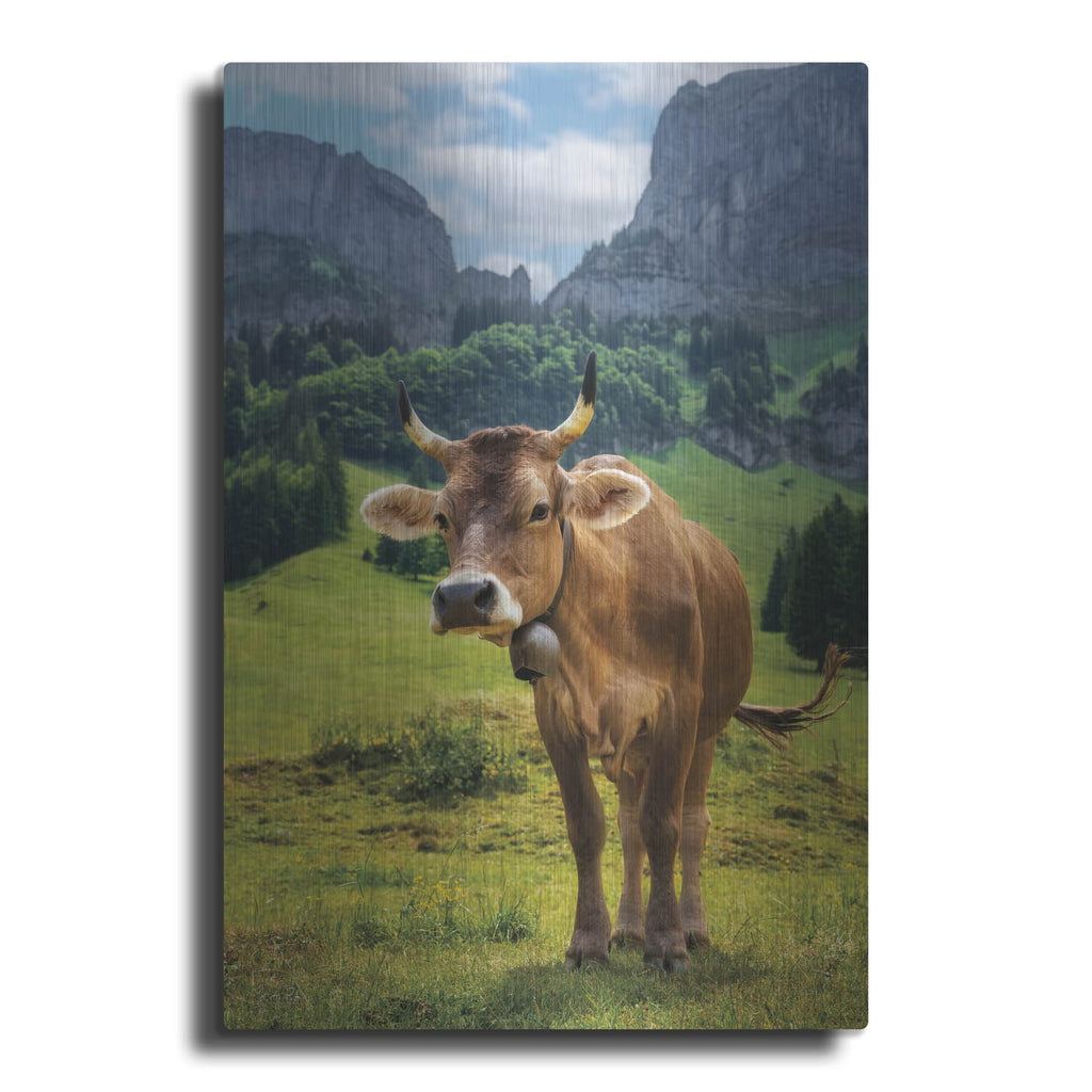 'Swiss Cow' by Martin Podt – Metal Wall Art