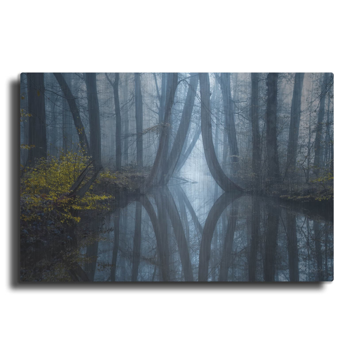 'A Touch Of Yellow' by Martin Podt – Metal Wall Art
