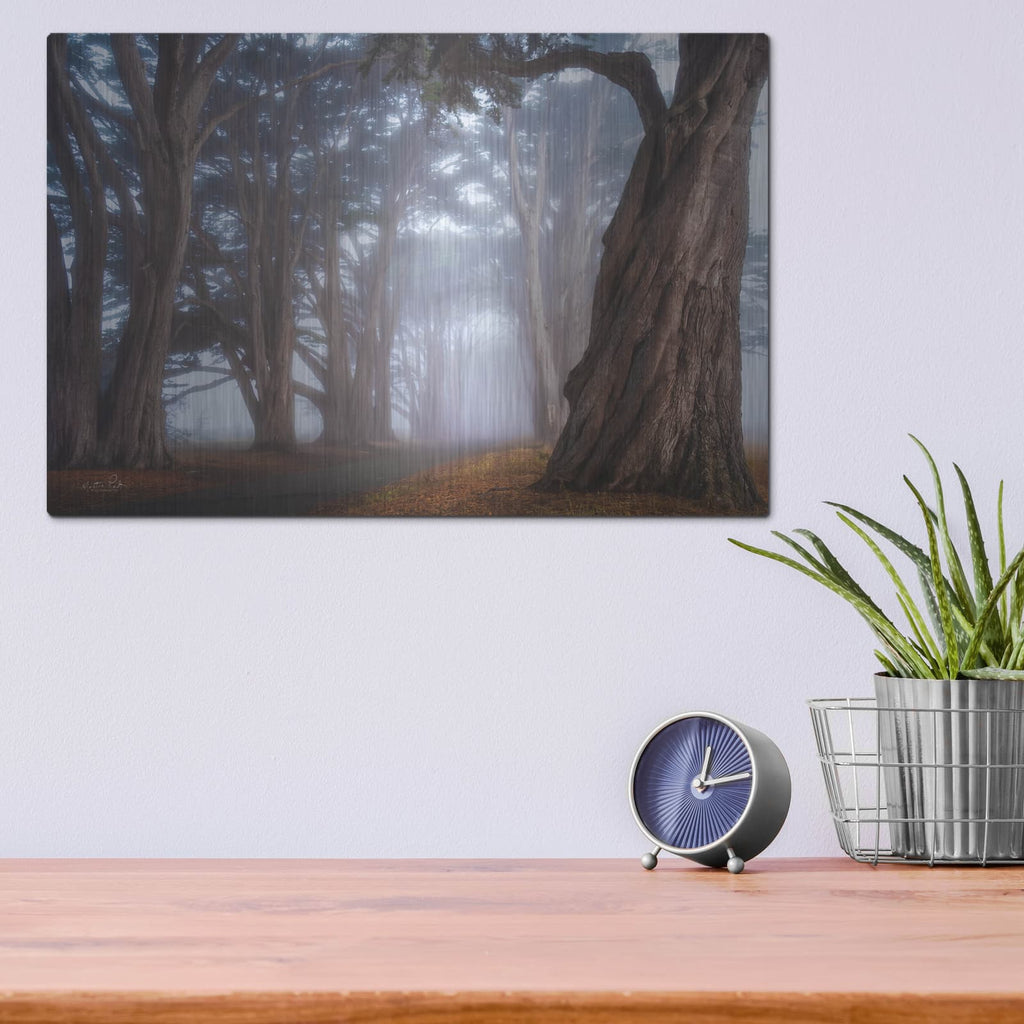 'Cypress Tree Tunnel' by Martin Podt – Metal Wall Art, 16x12 room view