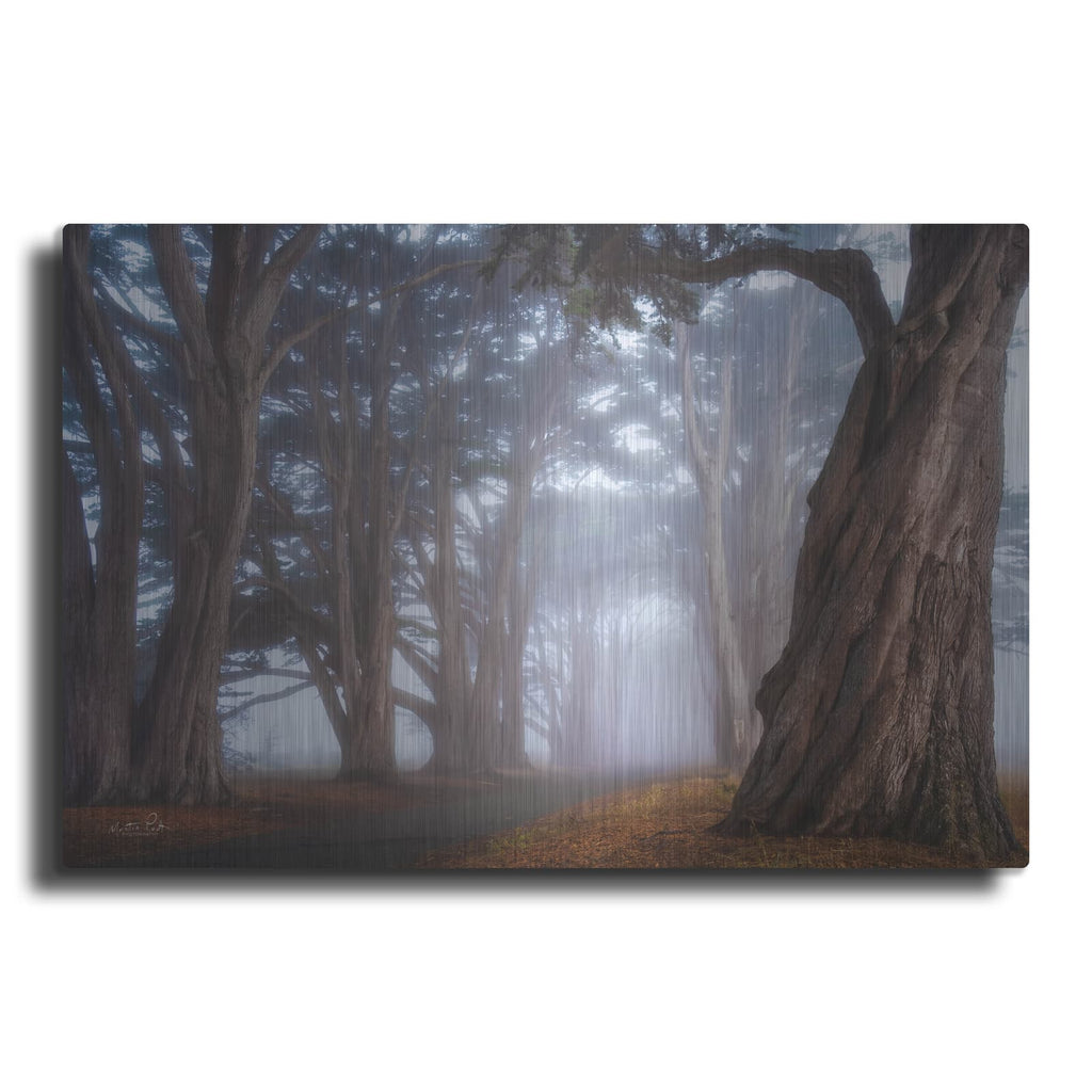 'Cypress Tree Tunnel' by Martin Podt – Metal Wall Art