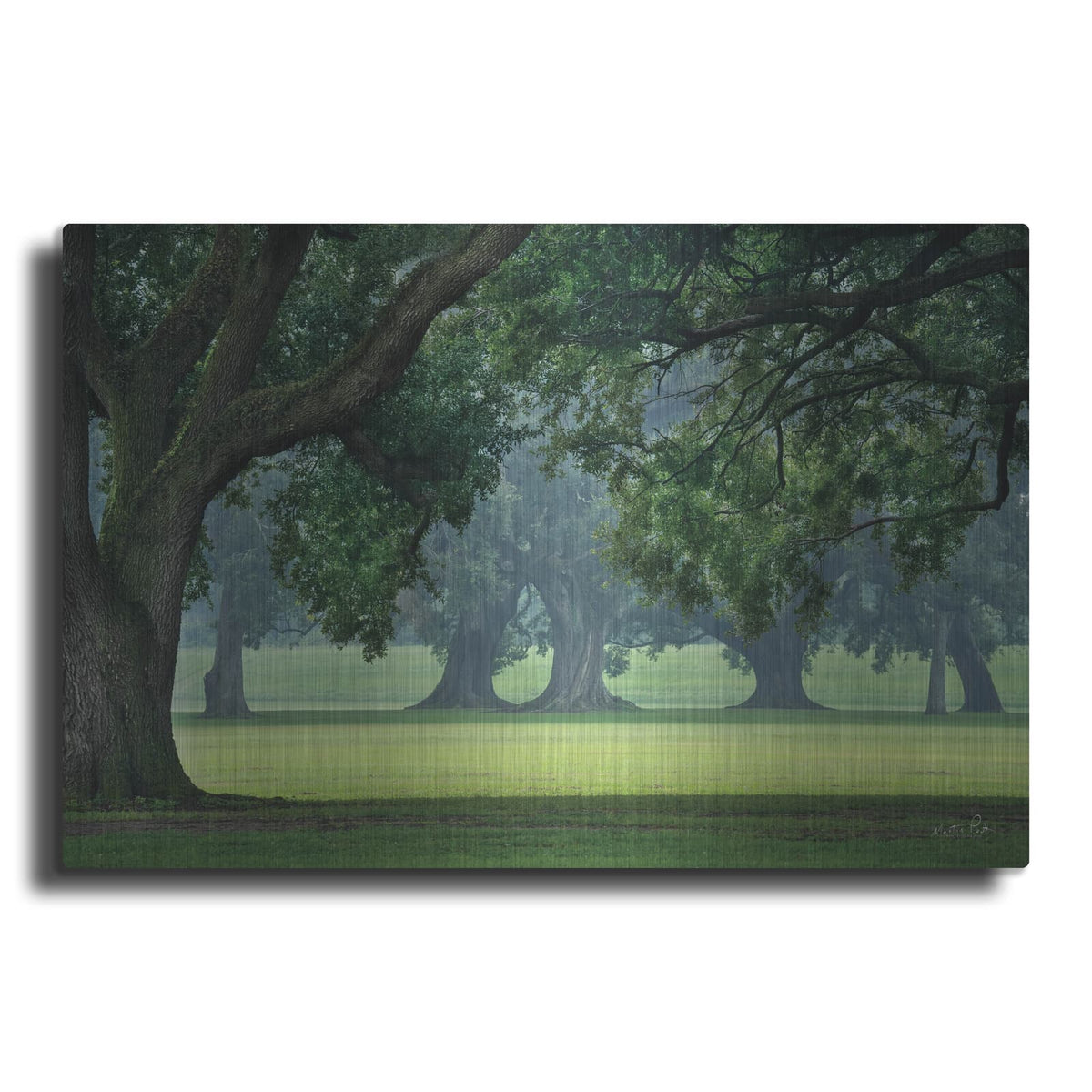 'A Silent Strength' by Martin Podt – Metal Wall Art