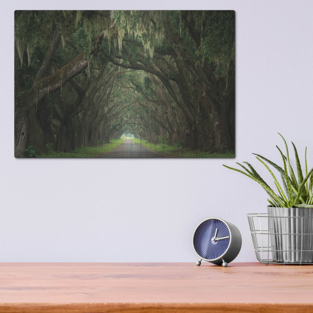 'A Welcoming Alley' by Martin Podt – Metal Wall Art, 16x12 room view