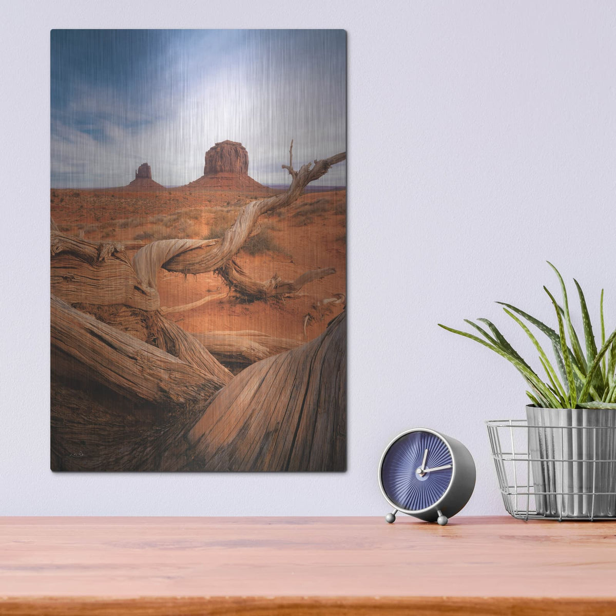 'Weathered Wood At Monument Valley' by Martin Podt – Metal Wall Art, 12x16 room view
