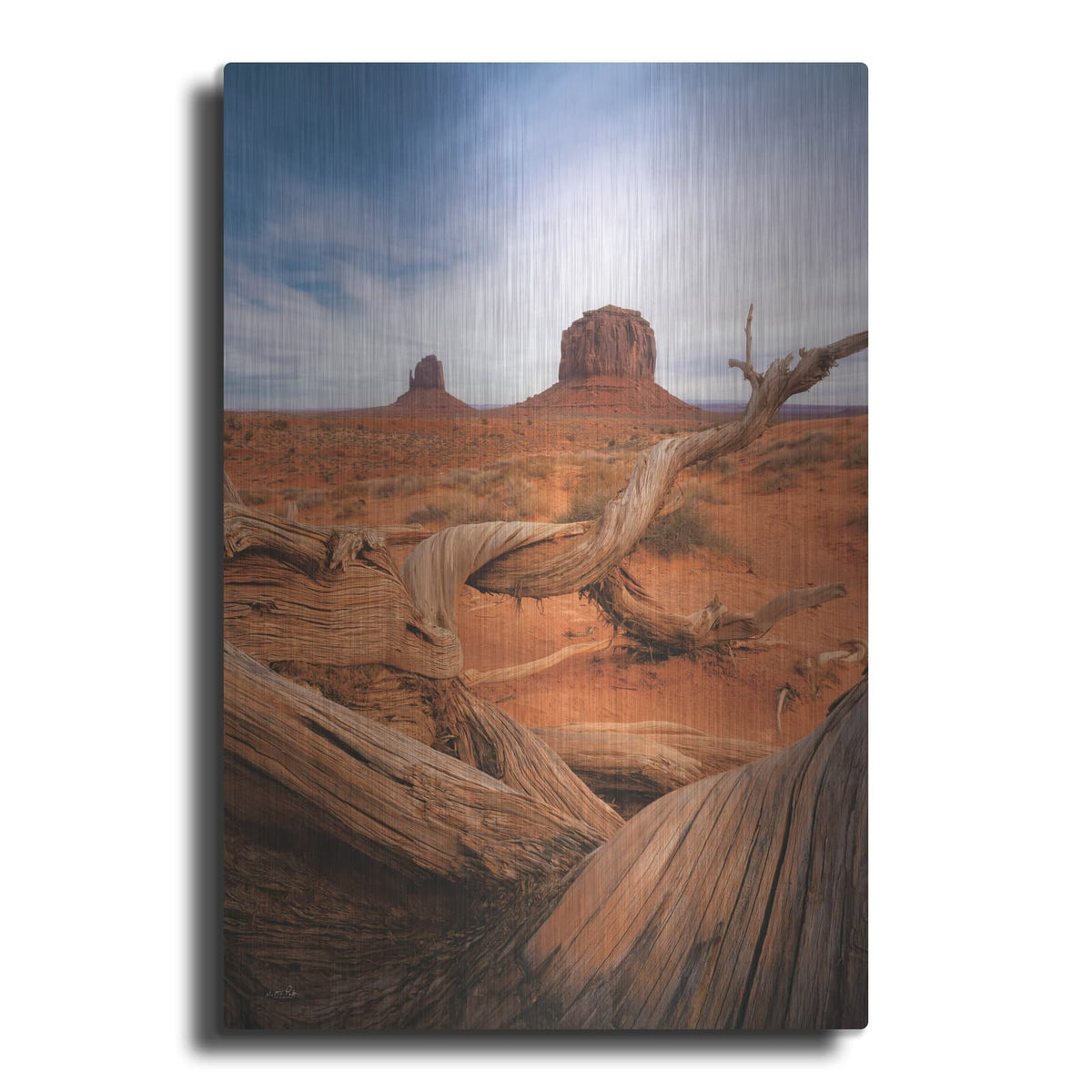 'Weathered Wood At Monument Valley' by Martin Podt – Metal Wall Art