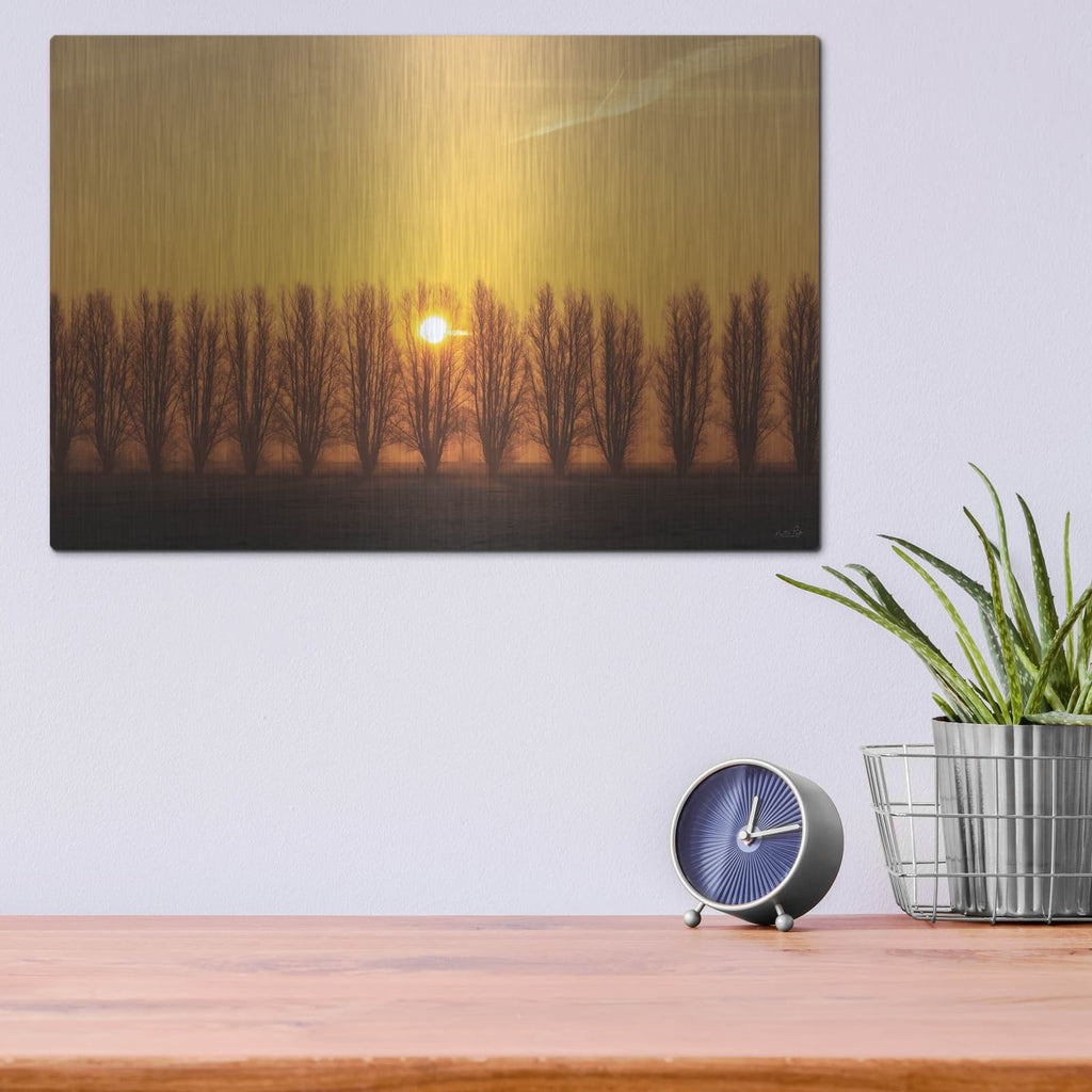 'Tree Row Sunrise' by Martin Podt – Metal Wall Art, 16x12 room view