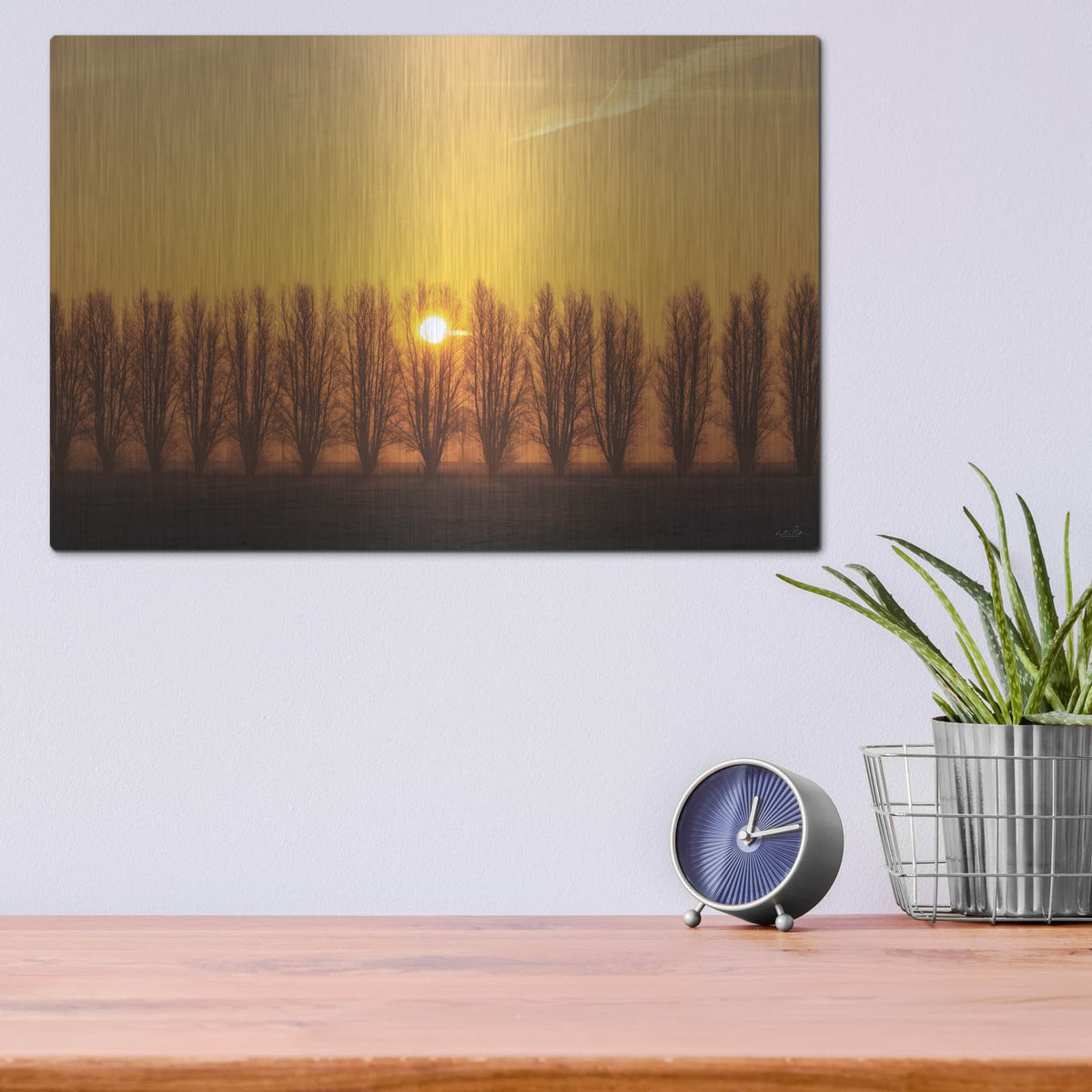 'Tree Row Sunrise' by Martin Podt – Metal Wall Art, 16x12 room view