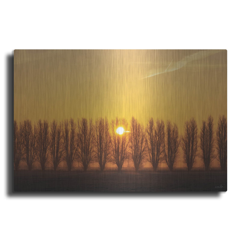 'Tree Row Sunrise' by Martin Podt – Metal Wall Art
