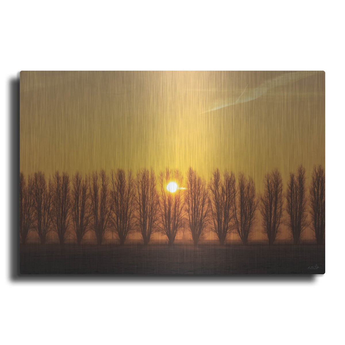 'Tree Row Sunrise' by Martin Podt – Metal Wall Art