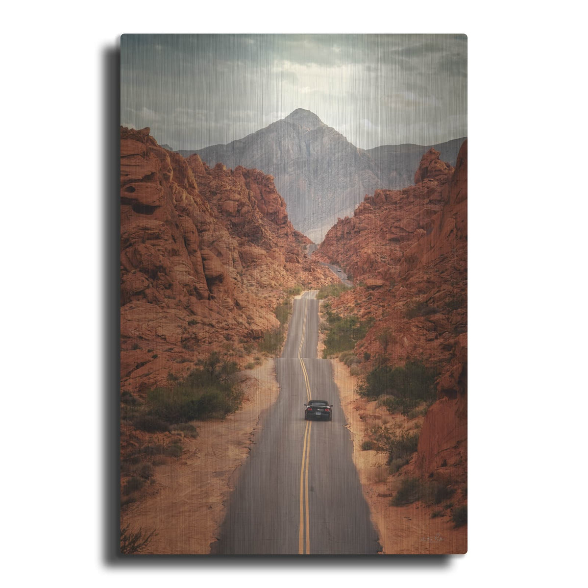 'American Beauty' by Martin Podt – Metal Wall Art