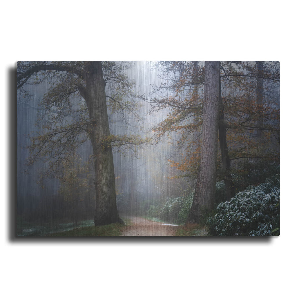 'Peaceful Path' by Martin Podt – Metal Wall Art