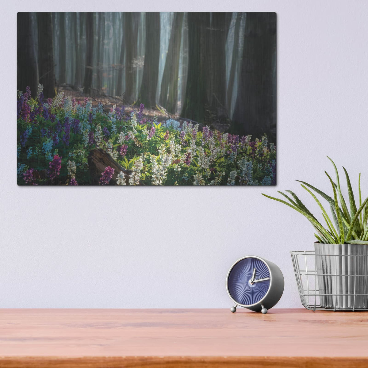 'Morning Light Of Spring' by Martin Podt – Metal Wall Art, 16x12 room view