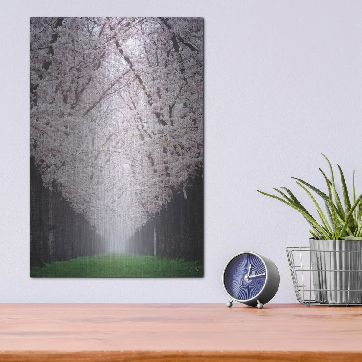 'Cherry Blossom Alley' by Martin Podt – Metal Wall Art, 12x16 room view
