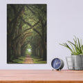 'Live Oaks In The Morning Light' by Martin Podt – Metal Wall Art, 12x16 room view