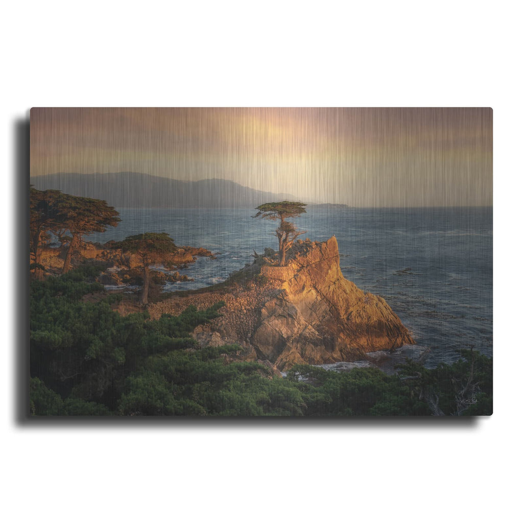 'Lone Cypress At Sunset' by Martin Podt – Metal Wall Art