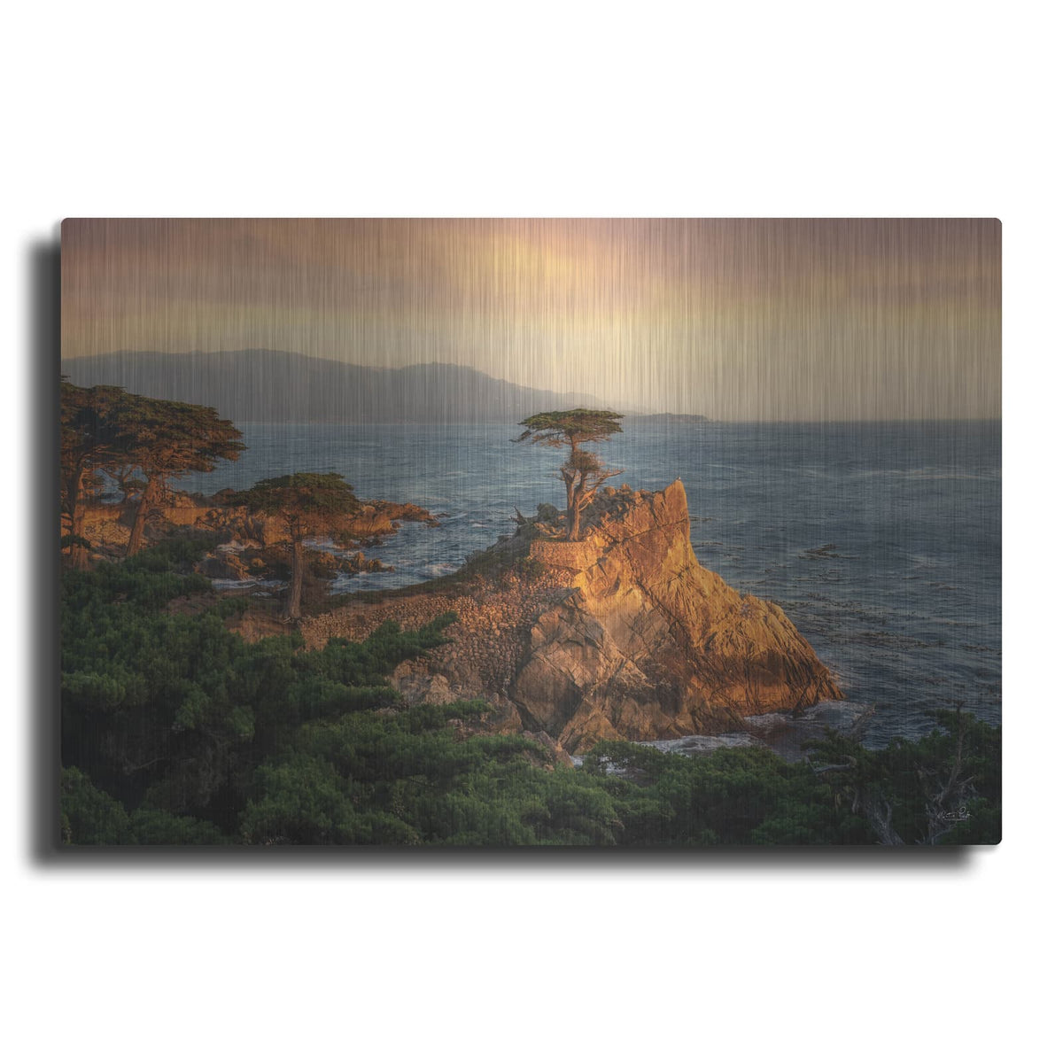'Lone Cypress At Sunset' by Martin Podt – Metal Wall Art