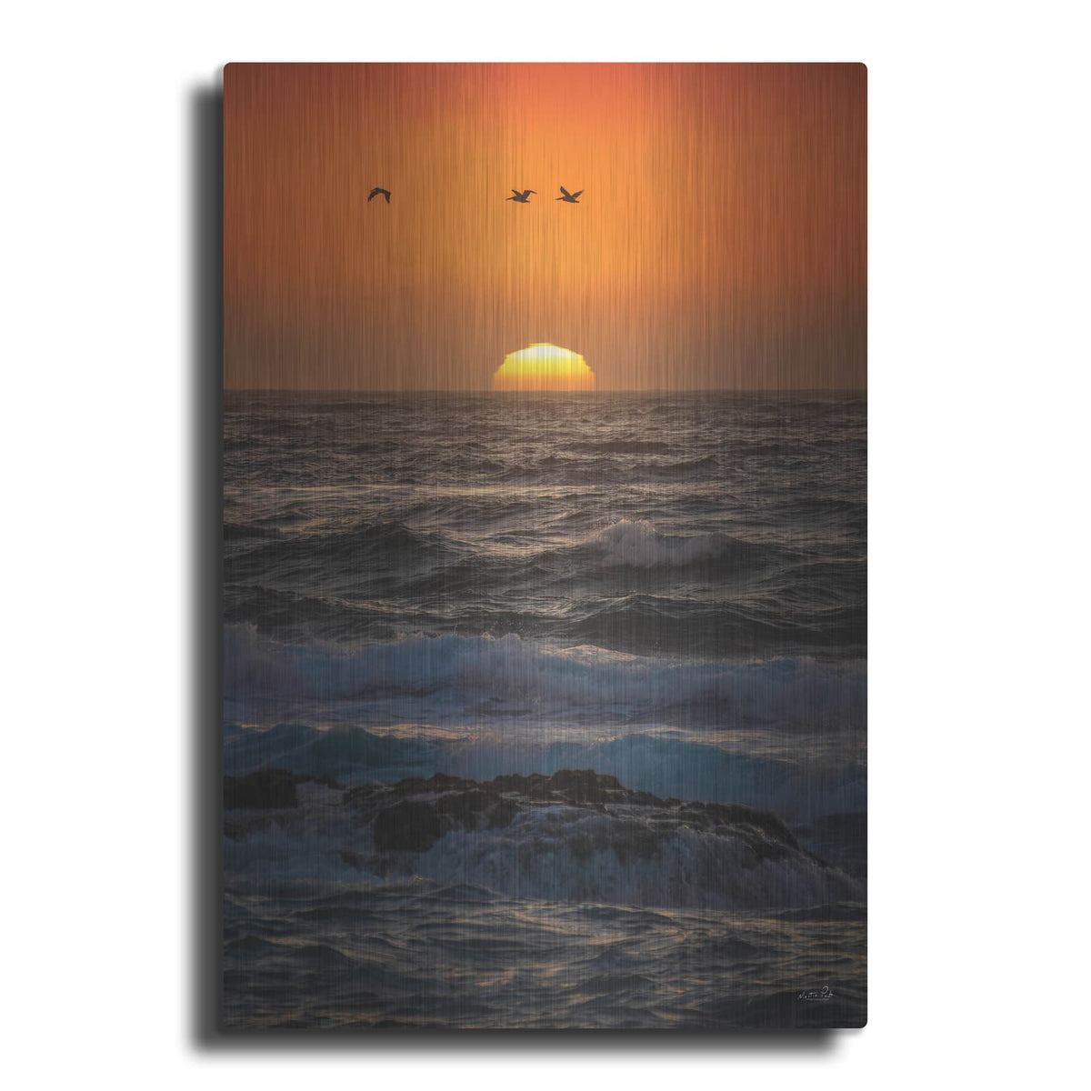 'California Pelicans At Sunset' by Martin Podt – Metal Wall Art