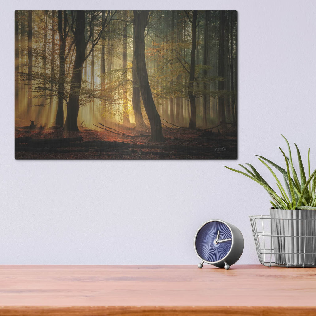 'Autumn Light' by Martin Podt – Metal Wall Art, 16x12 room view