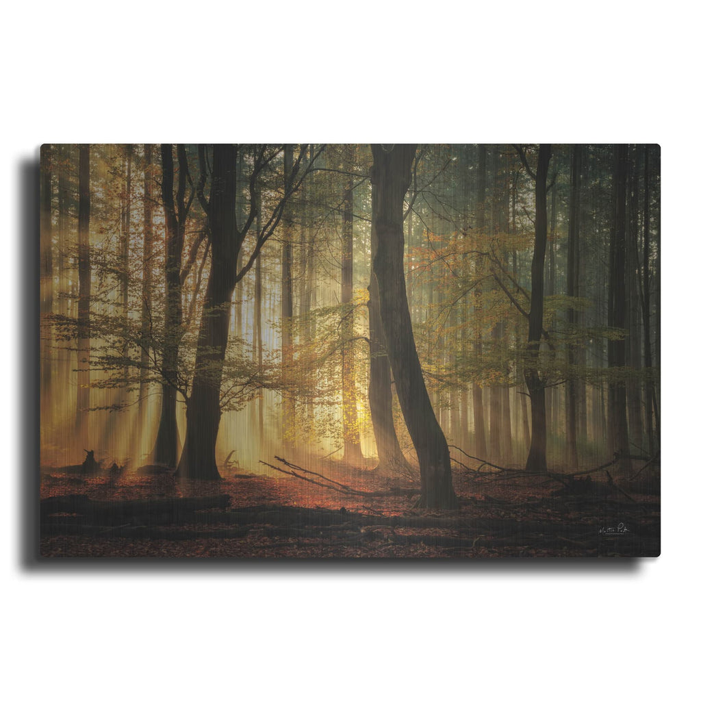 'Autumn Light' by Martin Podt – Metal Wall Art