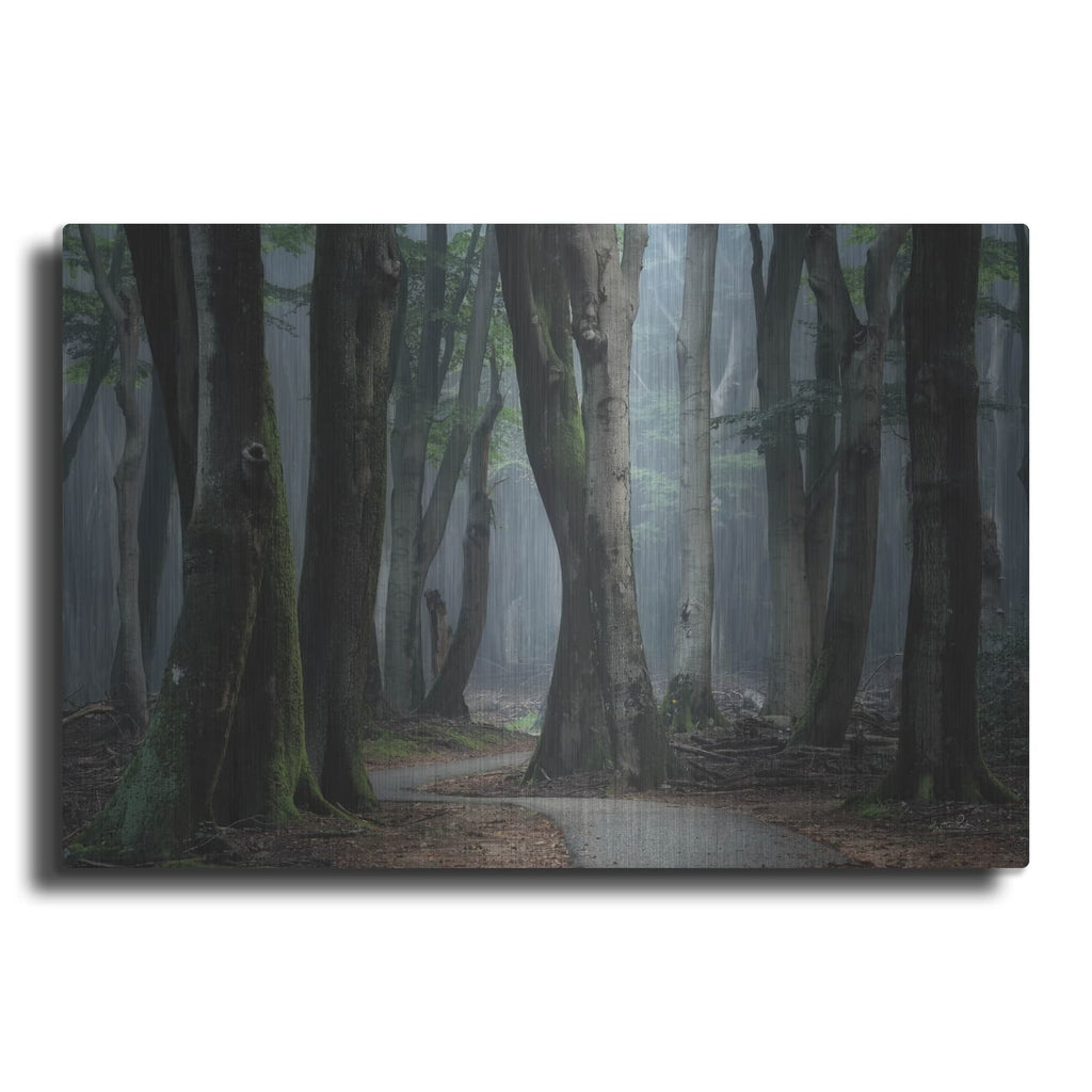 'Winding Through The Trees' by Martin Podt – Metal Wall Art