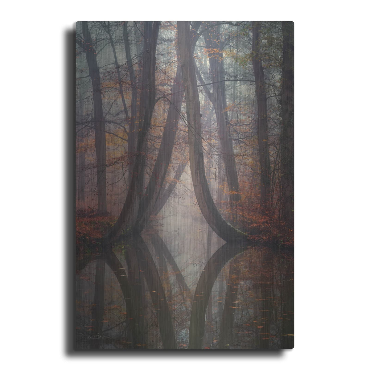 'Bent For Life' by Martin Podt – Metal Wall Art
