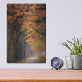 'Autumn Path' by Martin Podt – Metal Wall Art, 12x16 room view