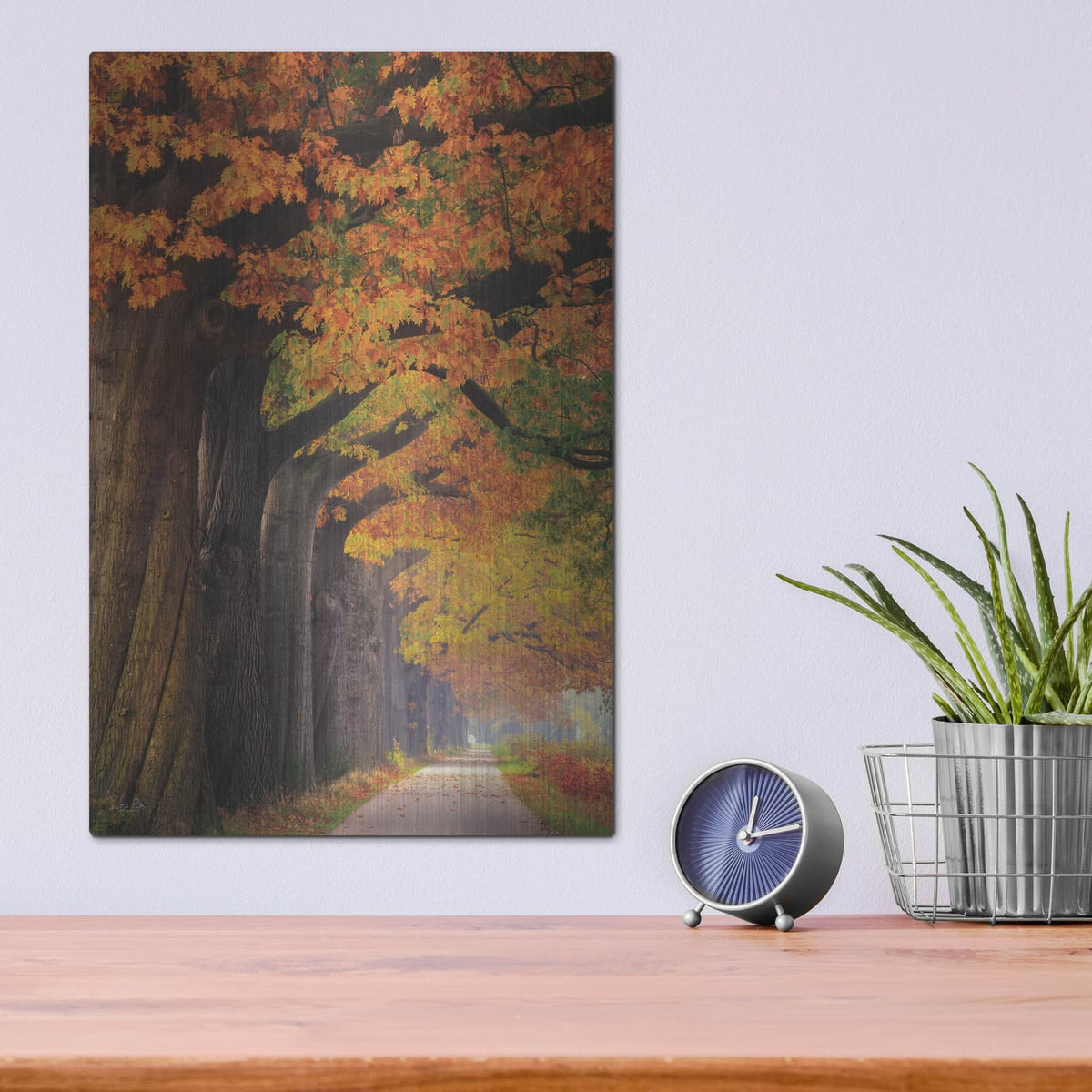 'Autumn Path' by Martin Podt – Metal Wall Art, 12x16 room view
