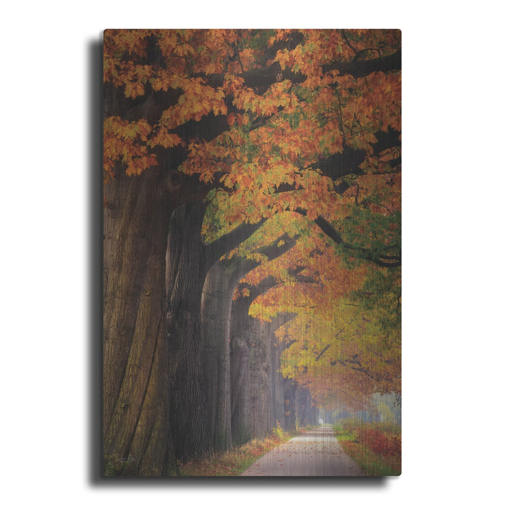 'Autumn Path' by Martin Podt – Metal Wall Art