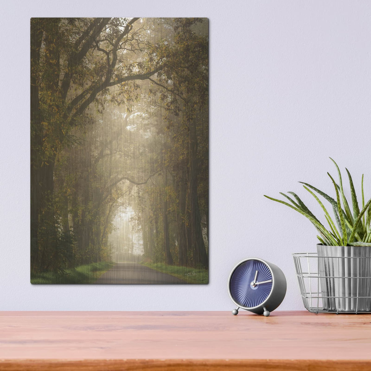 'Moody Treescape' by Martin Podt – Metal Wall Art, 12x16 room view