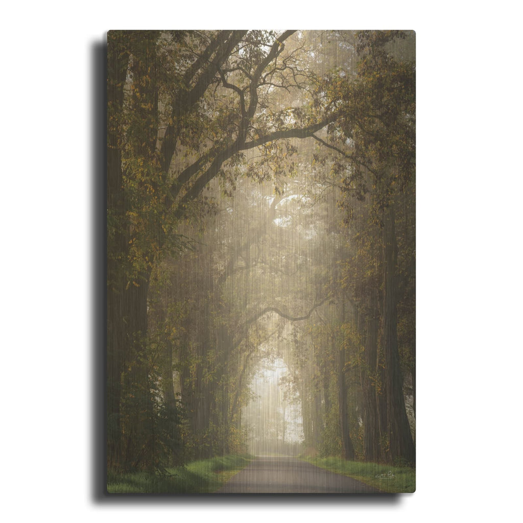 'Moody Treescape' by Martin Podt – Metal Wall Art