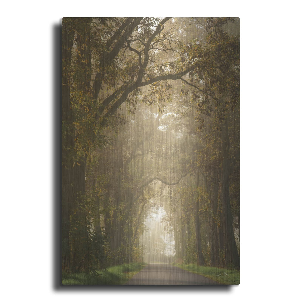 'Moody Treescape' by Martin Podt – Metal Wall Art