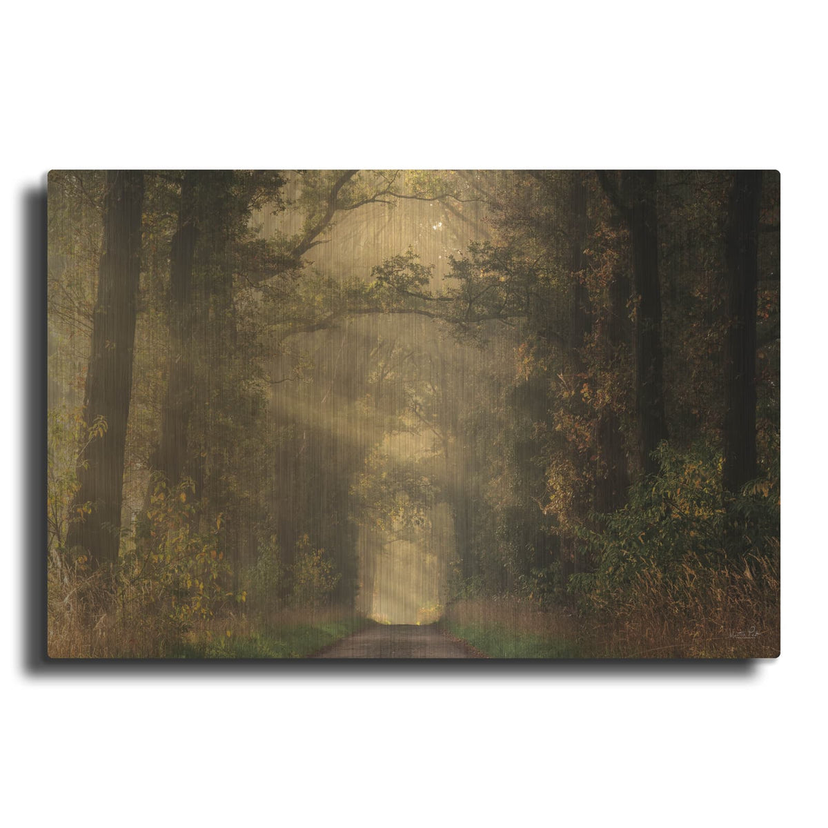 'Moody Morning' by Martin Podt – Metal Wall Art