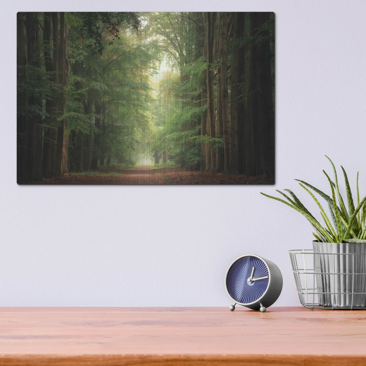 'Forest Bound' by Martin Podt – Metal Wall Art, 16x12 room view