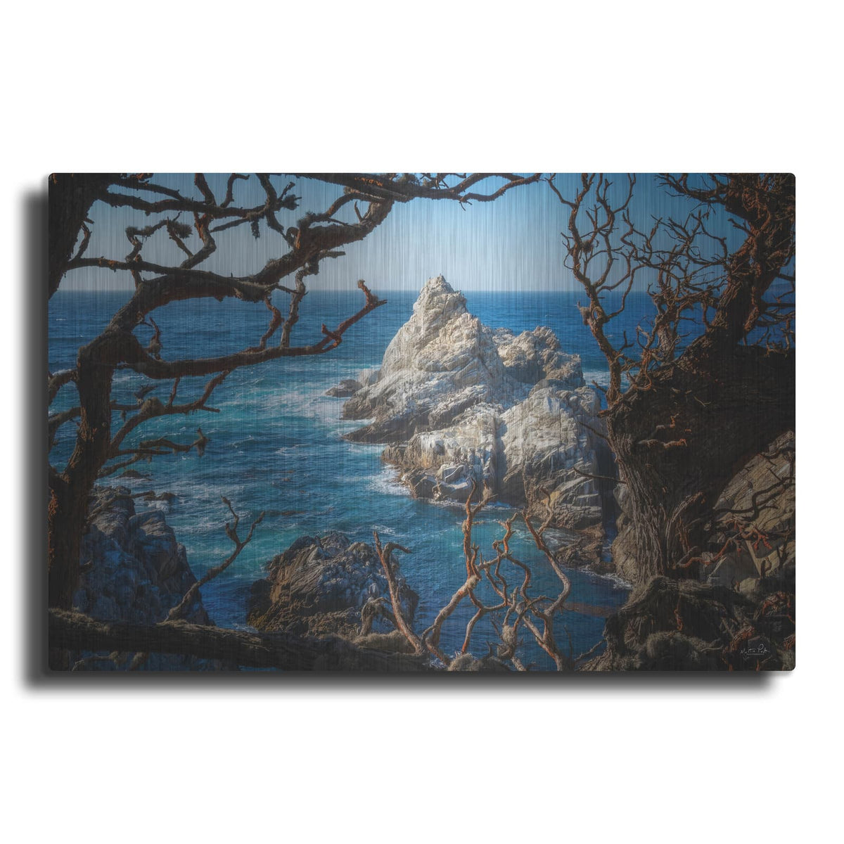 'Bird Rock, Big Sur' by Martin Podt – Metal Wall Art
