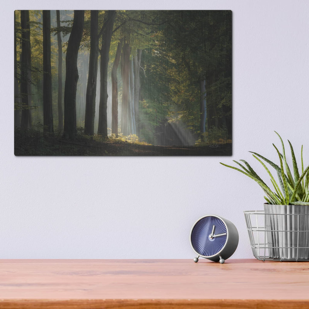 'Path Of Light' by Martin Podt – Metal Wall Art, 16x12 room view