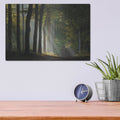'Path Of Light' by Martin Podt – Metal Wall Art, 16x12 room view