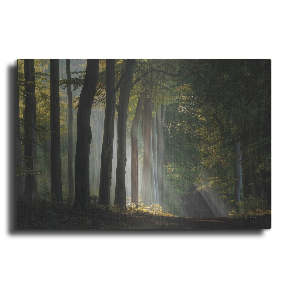 'Path Of Light' by Martin Podt – Metal Wall Art