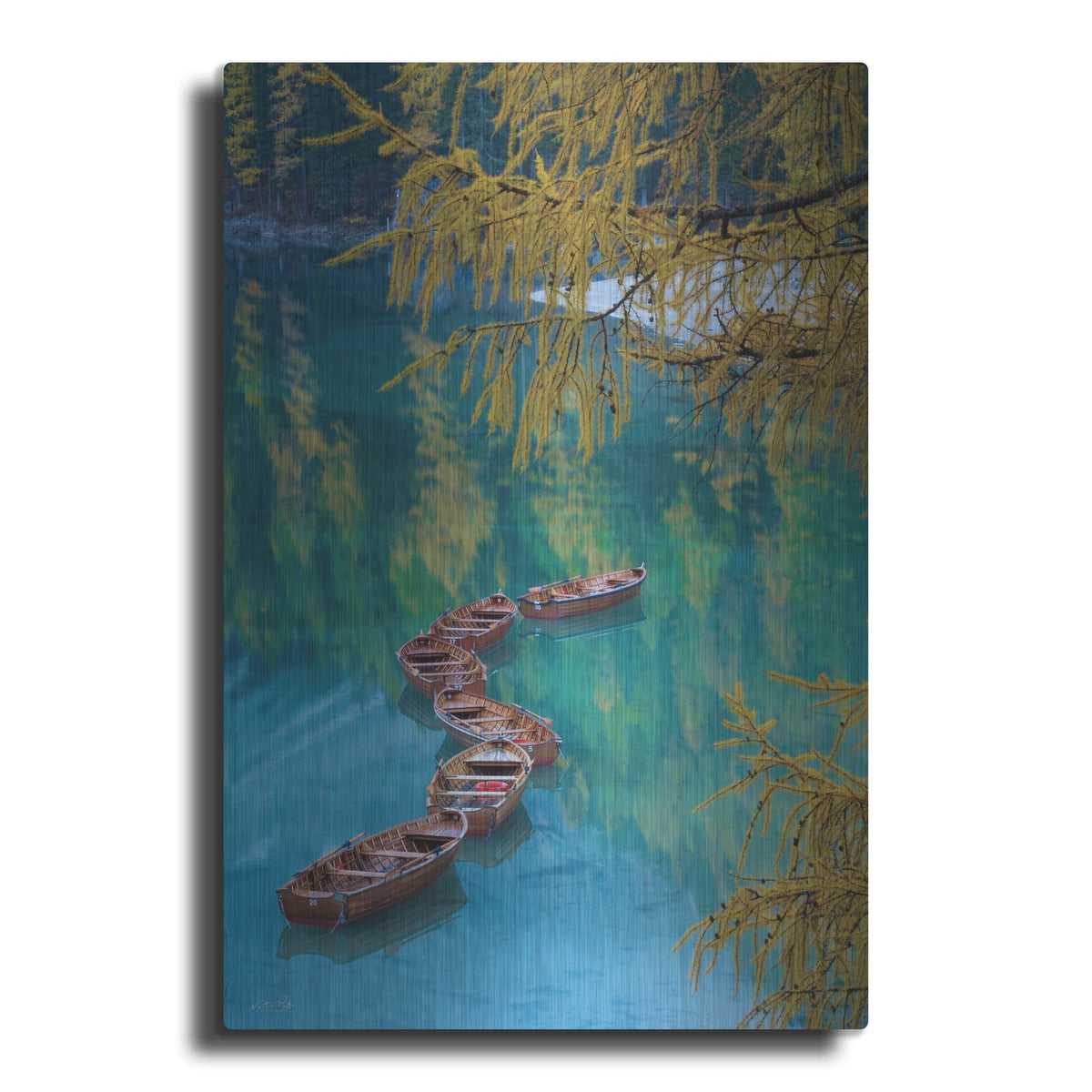 'S Curve' by Martin Podt – Metal Wall Art