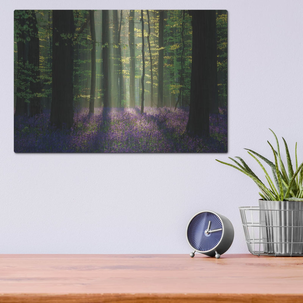 'Perfect Spring Scene' by Martin Podt – Metal Wall Art, 16x12 room view