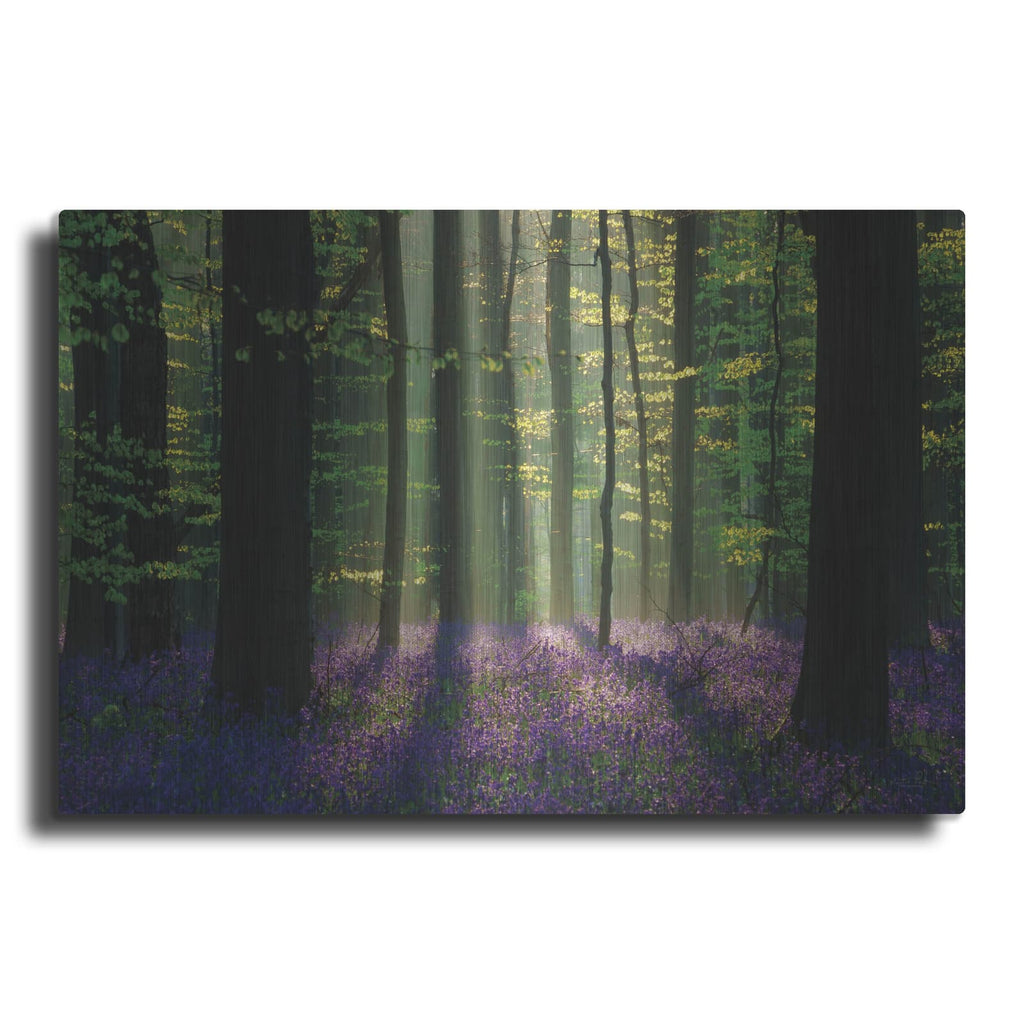 'Perfect Spring Scene' by Martin Podt – Metal Wall Art