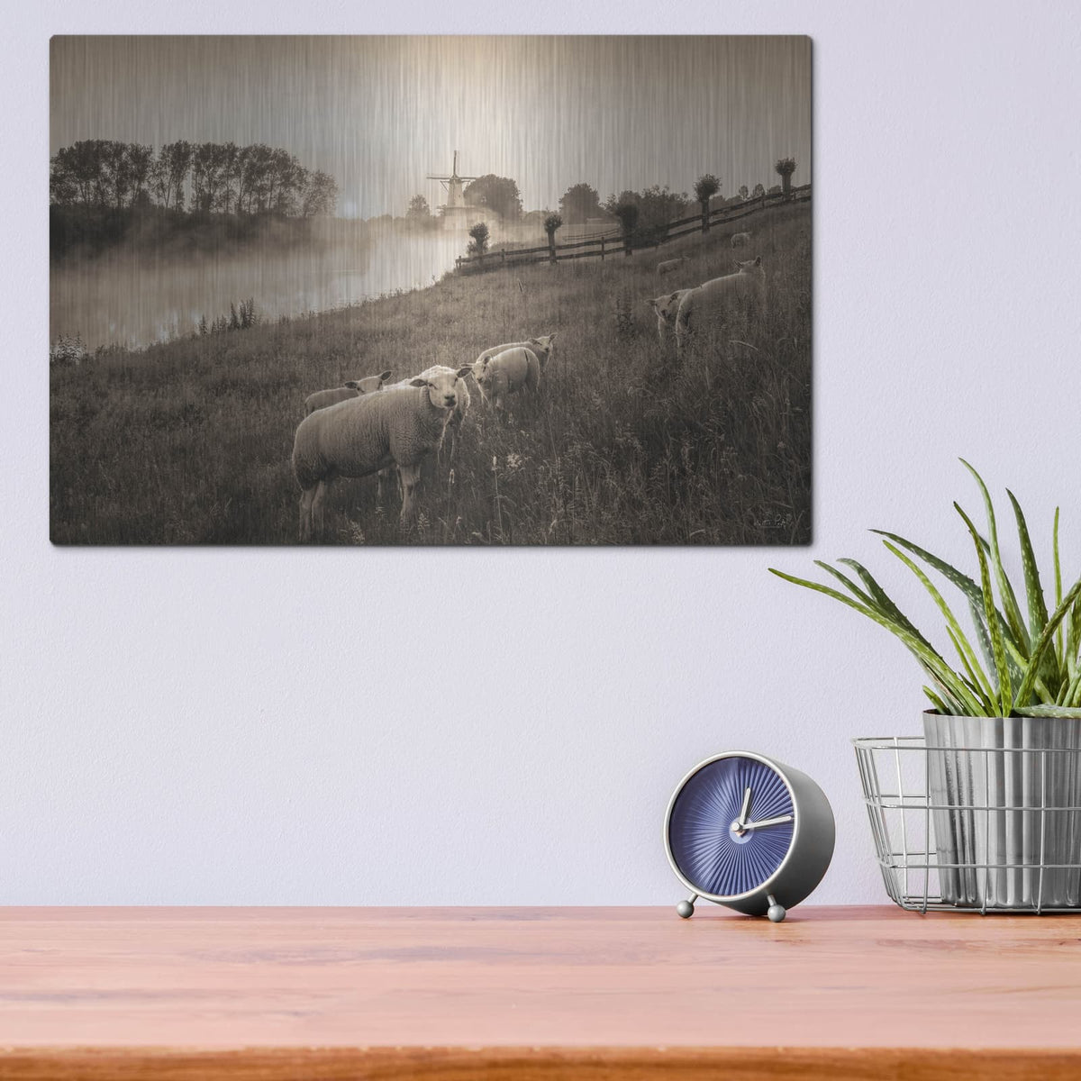 'Grazing Sheep' by Martin Podt – Metal Wall Art, 16x12 room view