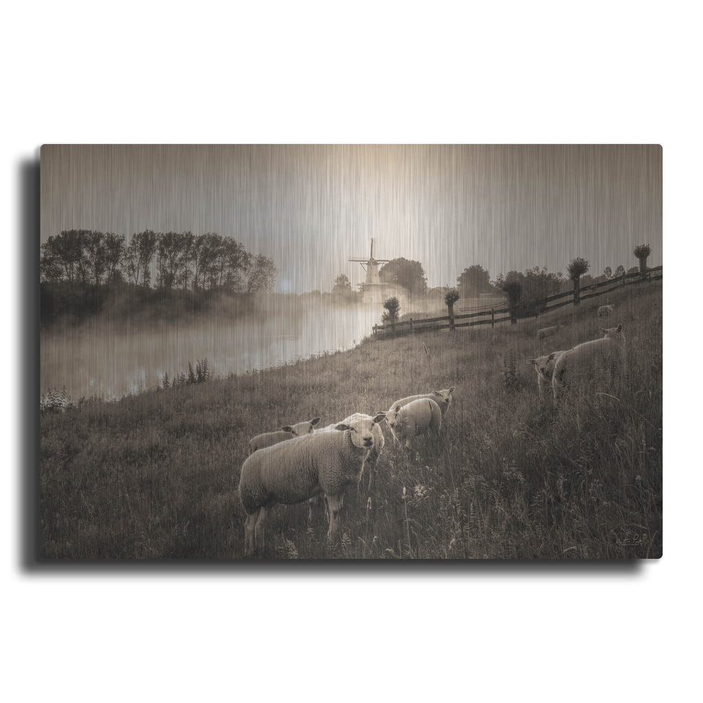 'Grazing Sheep' by Martin Podt – Metal Wall Art